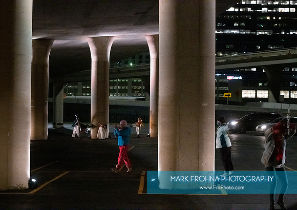 Wild Space Under the Freeway-112