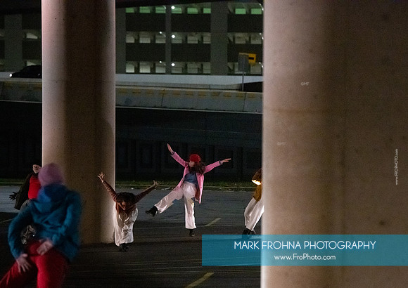 Wild Space Under the Freeway-110