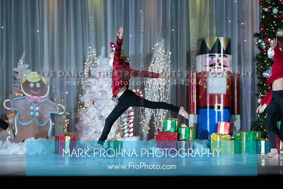 BCA 1345 Mini Elite Holiday-012