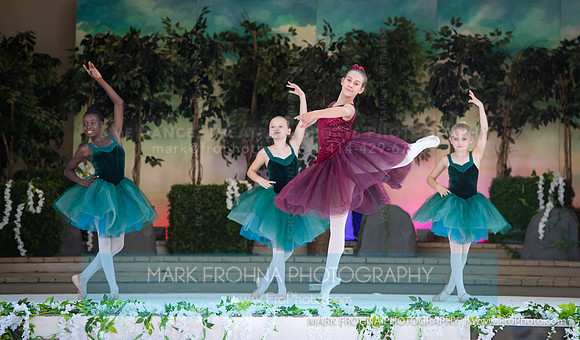 BCA Swan Lake Highlights-035