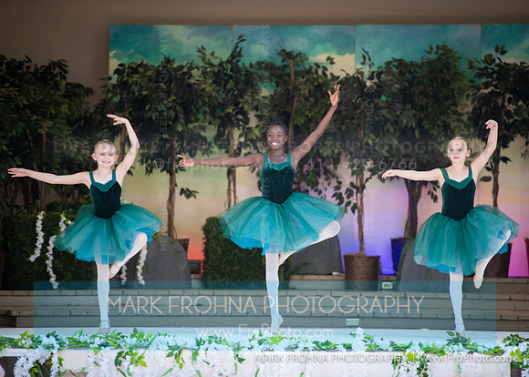 BCA Swan Lake Highlights-034