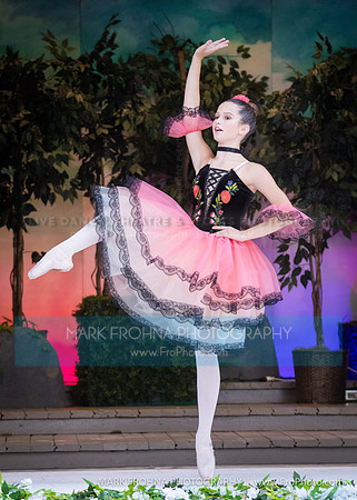 BCA Swan Lake Highlights-031