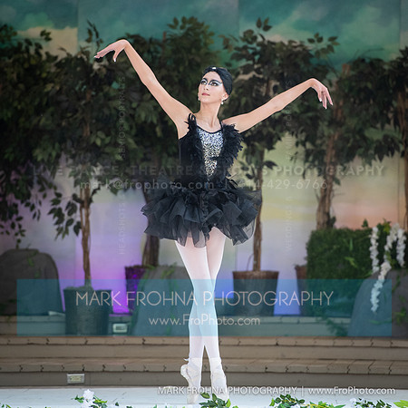BCA Swan Lake Highlights-032