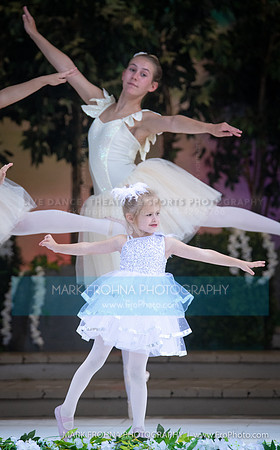 BCA Swan Lake Highlights-013