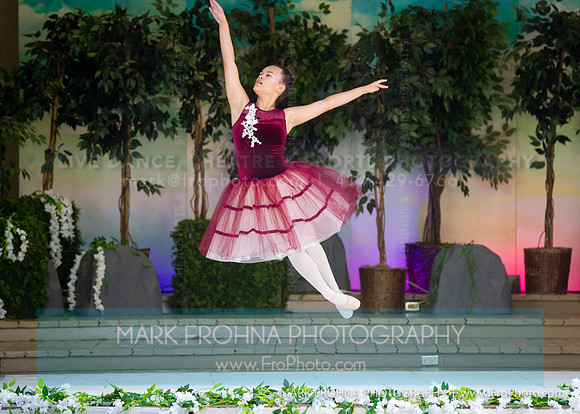 BCA Swan Lake Highlights-010