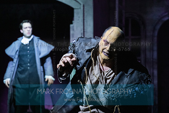 Skylight Frankenstein Highlights-19