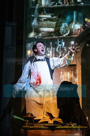 Skylight Frankenstein Highlights-9
