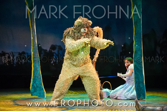 Skylight Wizard of Oz Selects-17