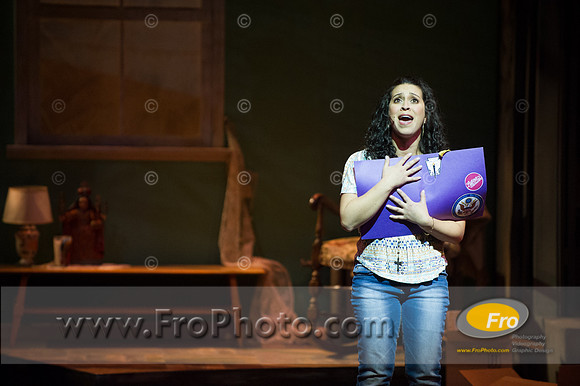 Skylight In the Heights Preview-139