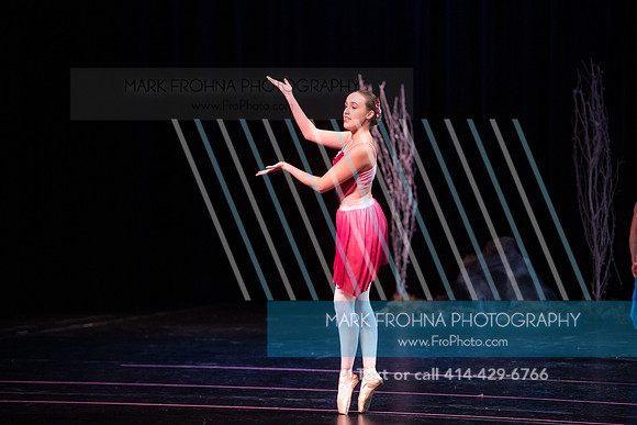 BRIO La Bayadere-67