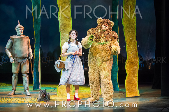 Skylight Wizard of Oz Selects-18