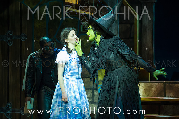 Skylight Wizard of Oz Selects-61