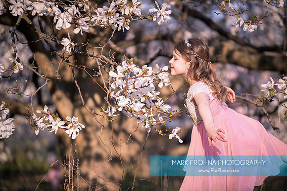 Holly Z Magnolias 2025-4
