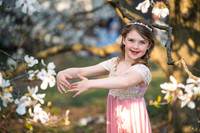 Holly Z Magnolias 2025-6