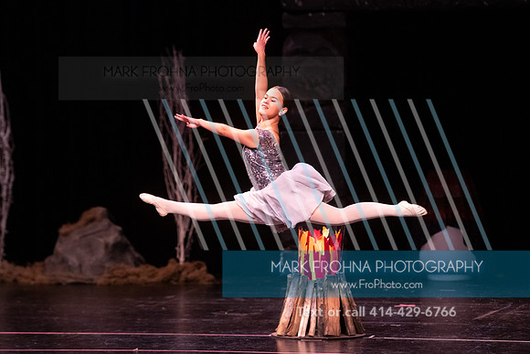 BRIO La Bayadere-61