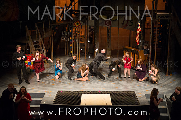 Skylight HSM 2014-88