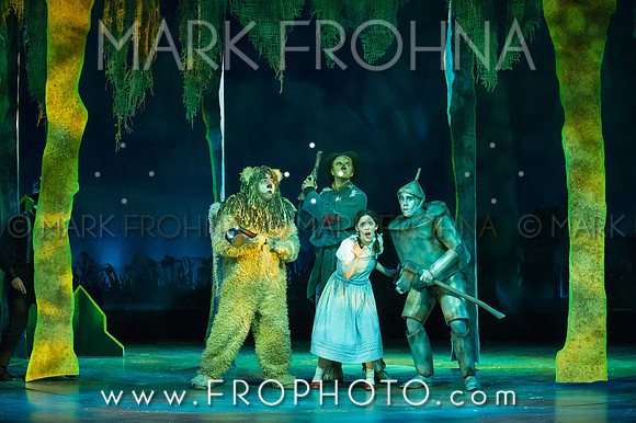Skylight Wizard of Oz Selects-50