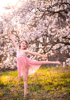 Holly Z Magnolias 2025-2