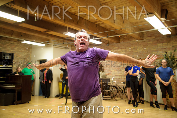 Skylight La Cage Designer Run-110