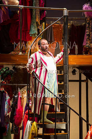 Skylight Cenerentola Dress-15