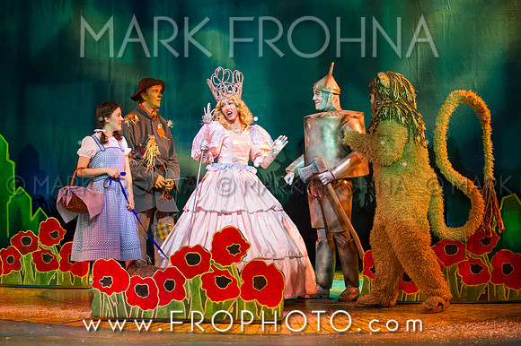 Skylight Wizard of Oz Selects-27