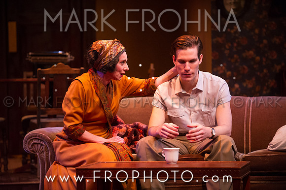 In Tandem Glass Menagerie-61