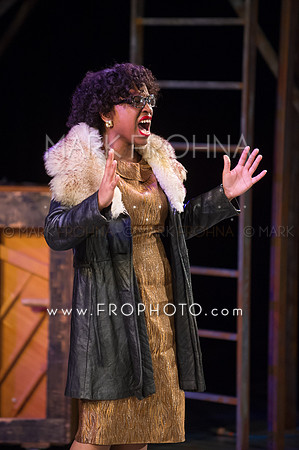 Skylight HSM 2014-134