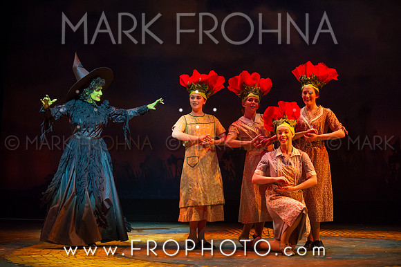Skylight Wizard of Oz Selects-21