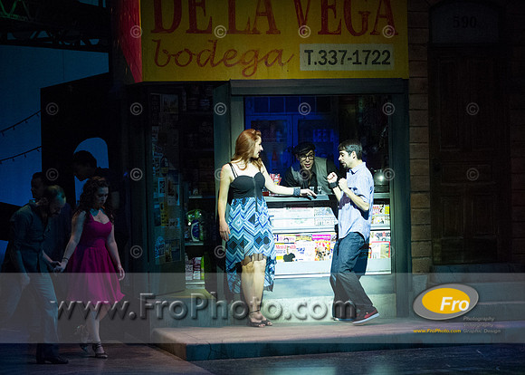 Skylight In the Heights Preview-96