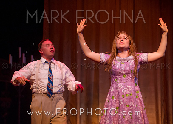 Skylight Violet Night 1 Highlights-38