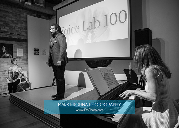 MOT Voice Lab 100-79-2