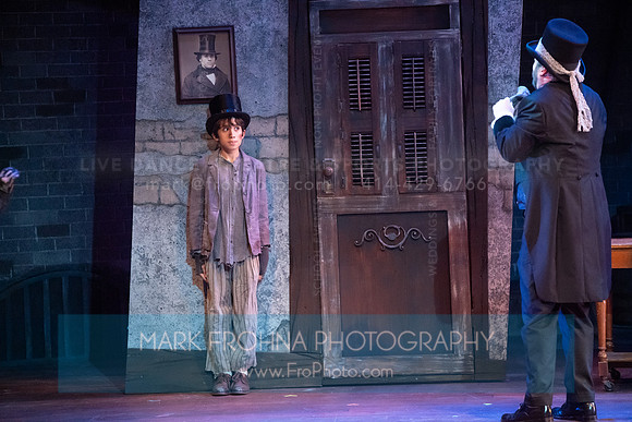 Skylight Oliver Highlights-7