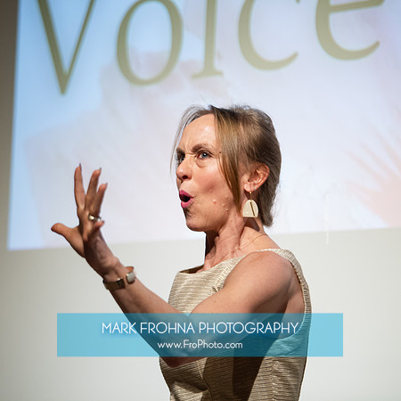 MOT Voice Lab 100-98