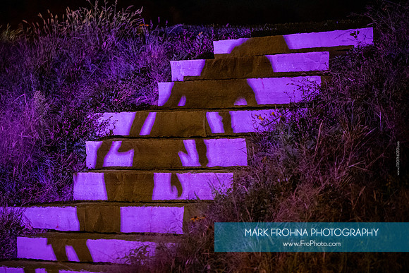 Wild Space Dance InSite Cycles-32