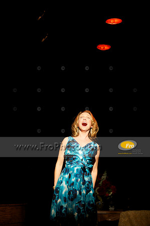 Skylight Ingenue 020