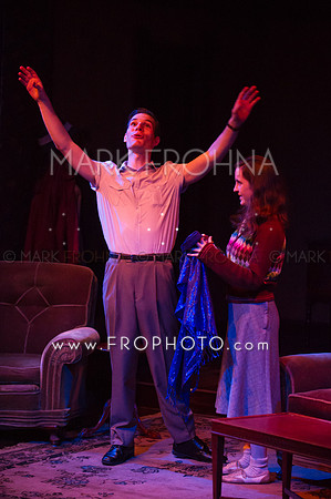 In Tandem Glass Menagerie-49