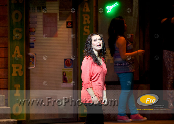 Skylight In the Heights Preview 017