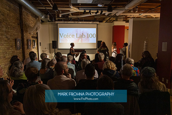 MOT Voice Lab 100-49