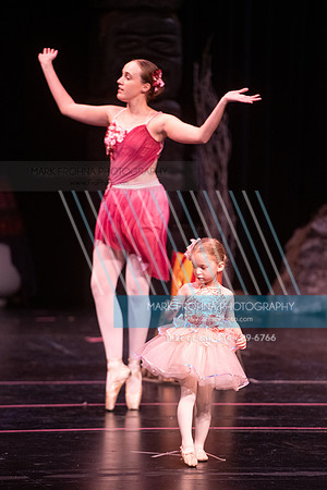 BRIO La Bayadere-118