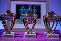 Brio Awards Banquet 2024-6