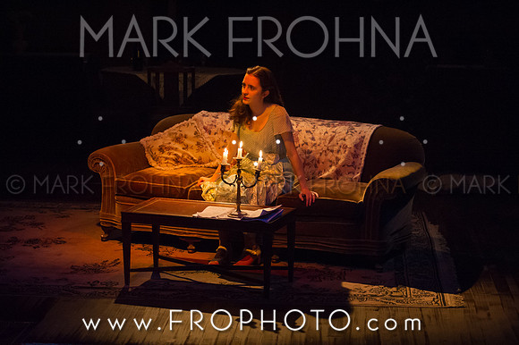 In Tandem Glass Menagerie-151