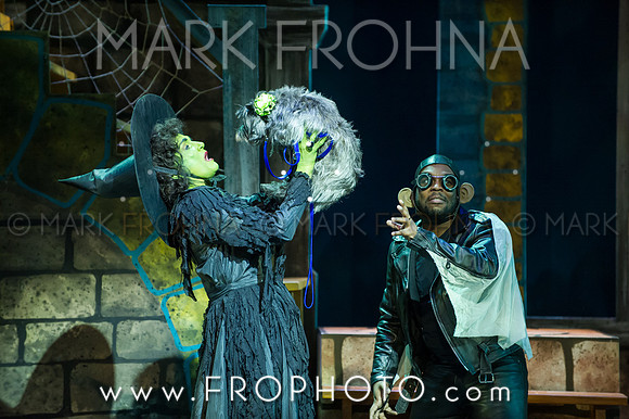 Skylight Wizard of Oz Selects-59
