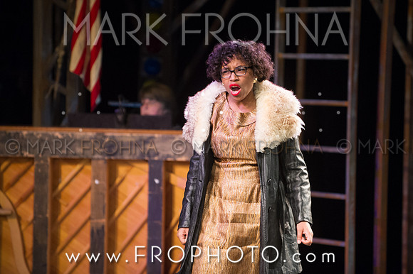Skylight HSM 2014-133