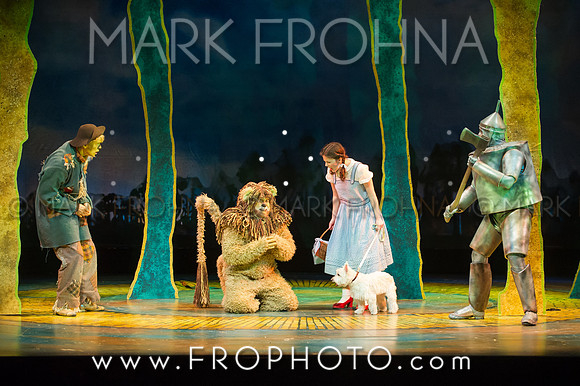 Skylight Wizard of Oz Selects-101