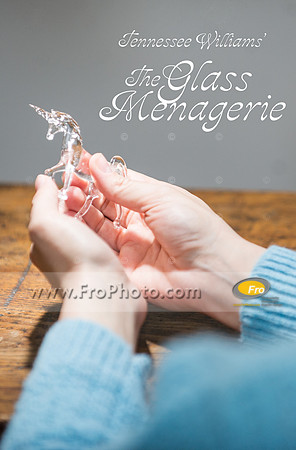 In Tandem Glass 14