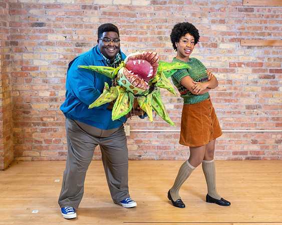 Skylight Little Shop Promos 2021-40