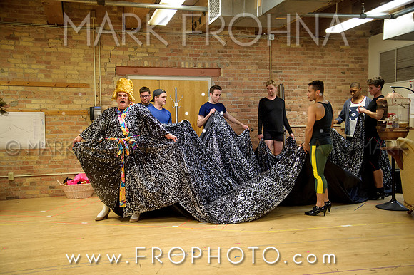 Skylight La Cage Designer Run-69