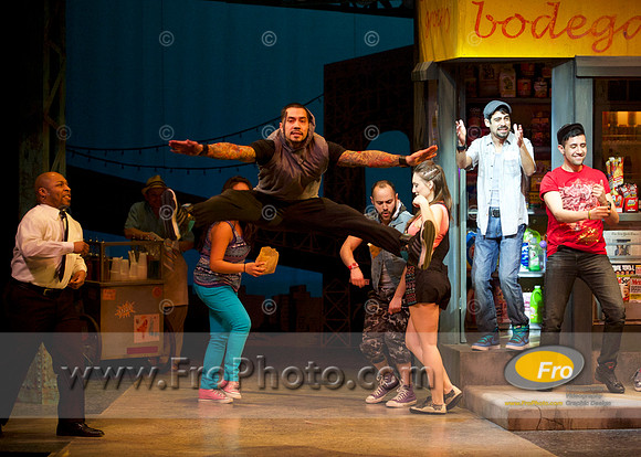 Skylight In the Heights Preview 009