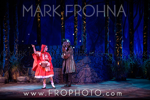 VAHS Into the Woods Highlights-21