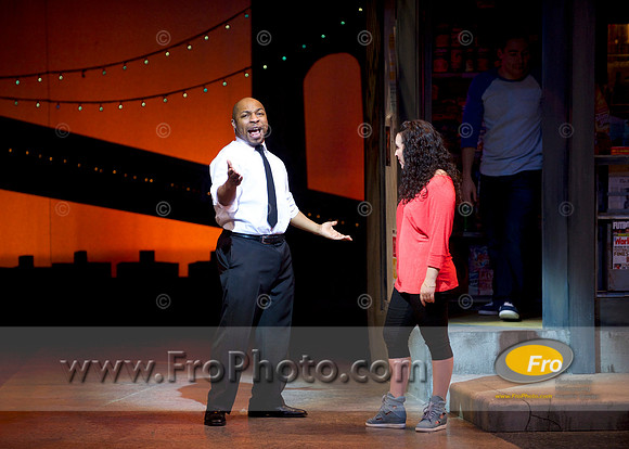 Skylight In the Heights Preview 075